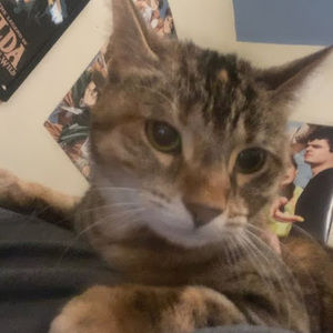 Meet your Posher, Jesus